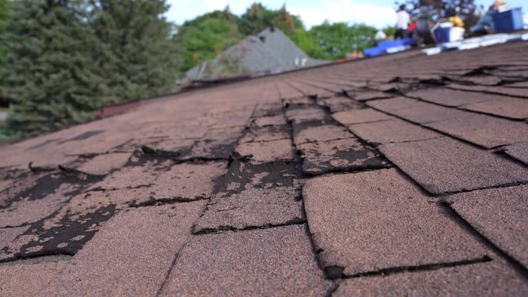 Roof Coating Services in Bala Cynwyd, PA