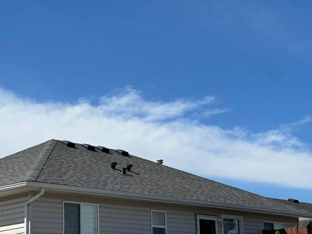 Best Roof Ventilation Installation  in Bala Cynwyd, PA